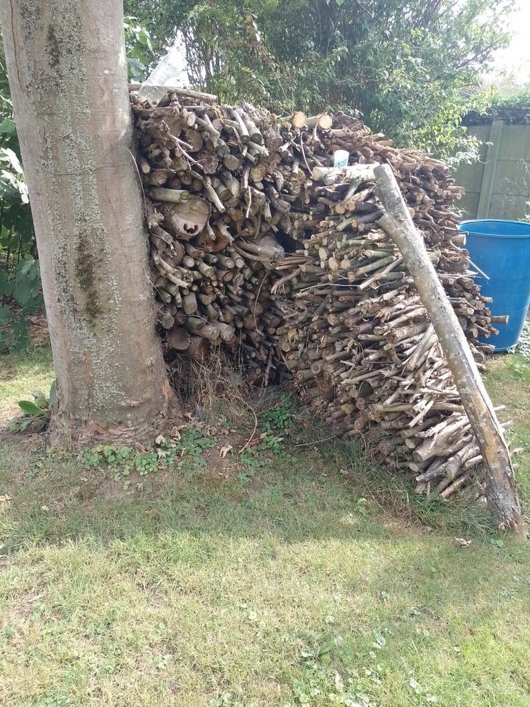 Aanmaak hout, Minder dan 3 m³, Ophalen, Overige houtsoorten, Takken