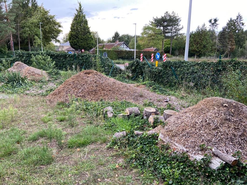 Copeaux de bois : 1 petits tas, déjà séchés !, Jardin & Terrasse, Gravier, Rochers & Caillasse, Neuf, Autres types, Marron, Autres matériaux