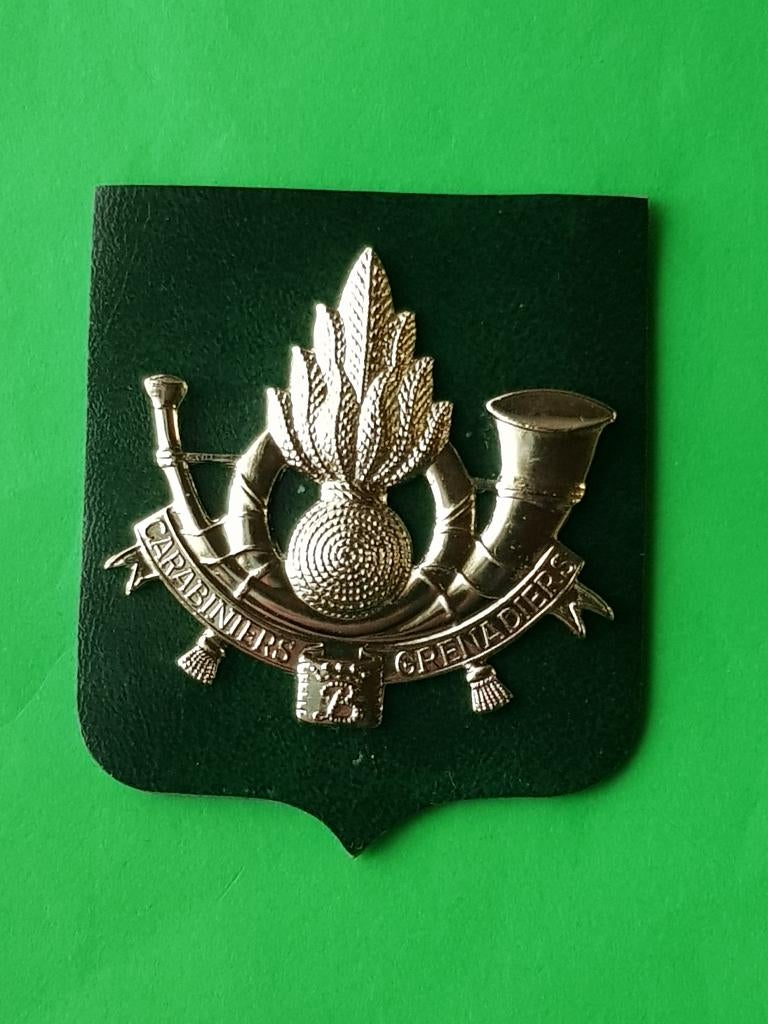 Belgian Army Mutskenteken ( LMM8 ), Verzamelen, Militaria | Algemeen, Landmacht, Embleem of Badge, Ophalen of Verzenden