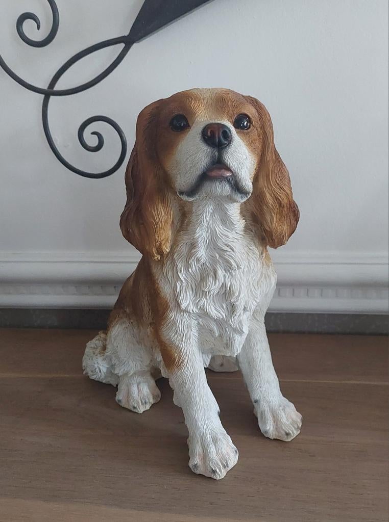 Cavalier King Charles 32cm hoogte, Ophalen