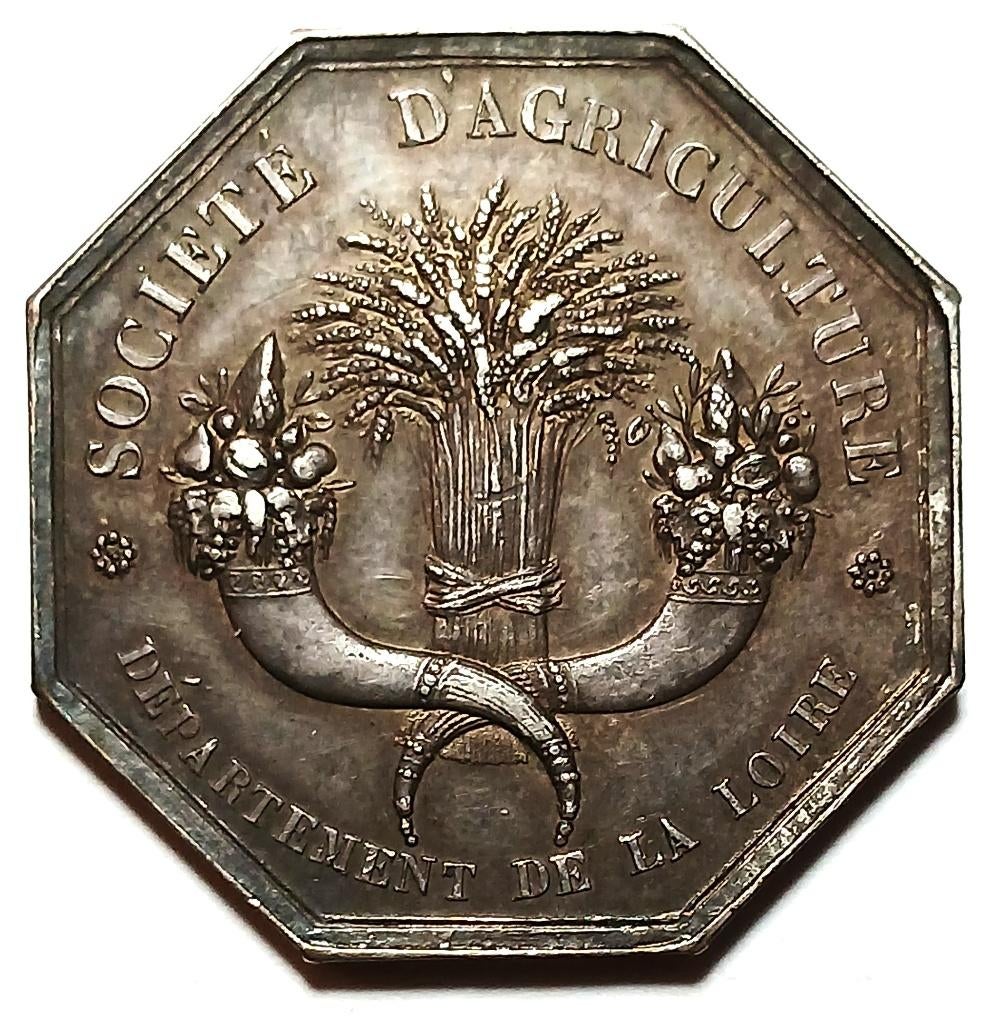 medaille zilver 1828 Société d’agriculture de la loire, Ophalen of Verzenden, Zilver