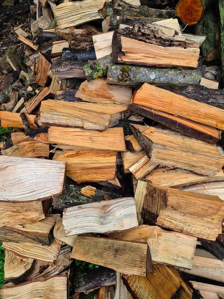 2 steres de bouleau et saule, Jardin & Terrasse, Bois de chauffage, Enlèvement ou Envoi, Bouleau