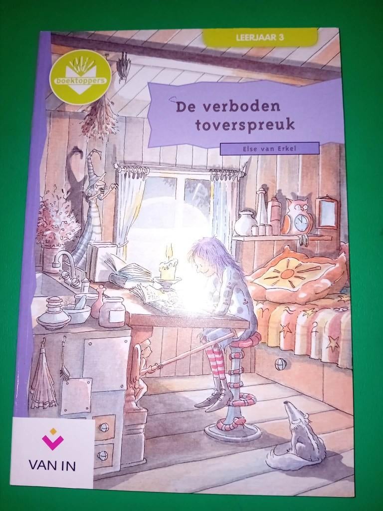 boek de verboden toverspreuk, Fictie algemeen, Ophalen of Verzenden, Zo goed als nieuw, Else van erkel