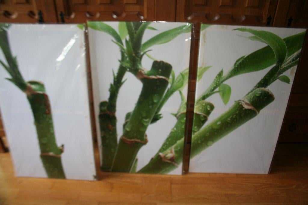 Wanddecoratie 3-luik bamboo 160X90 XXL, Modern, Ophalen