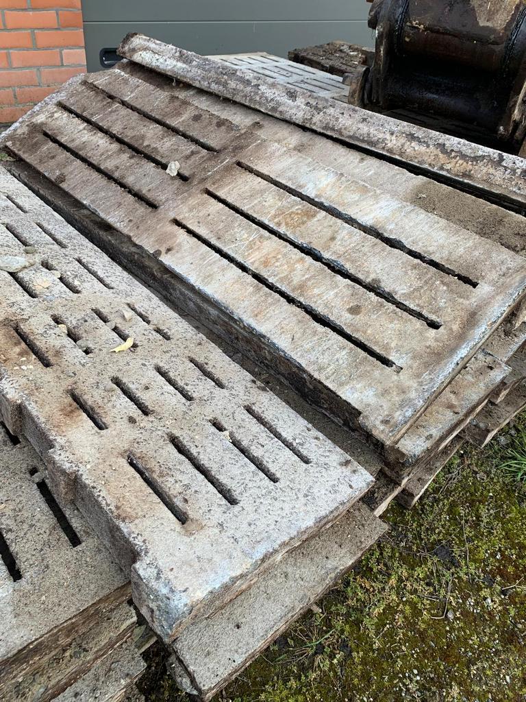 Roosters, Dieren en Toebehoren, Weidegang