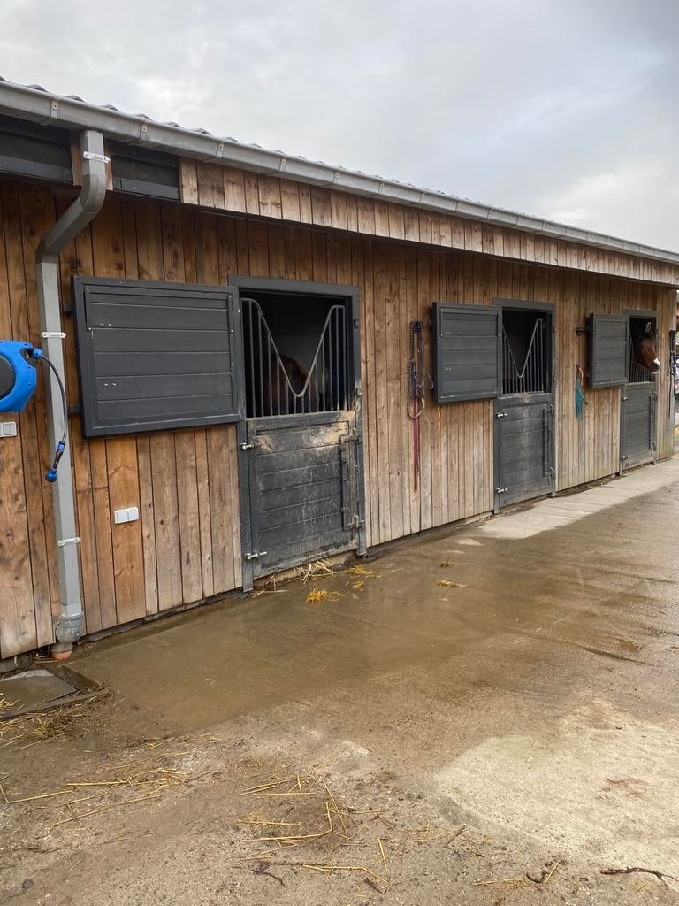 Paardenstal te huur, Dieren en Toebehoren, Stalling en Weidegang, Weidegang, 1 paard of pony