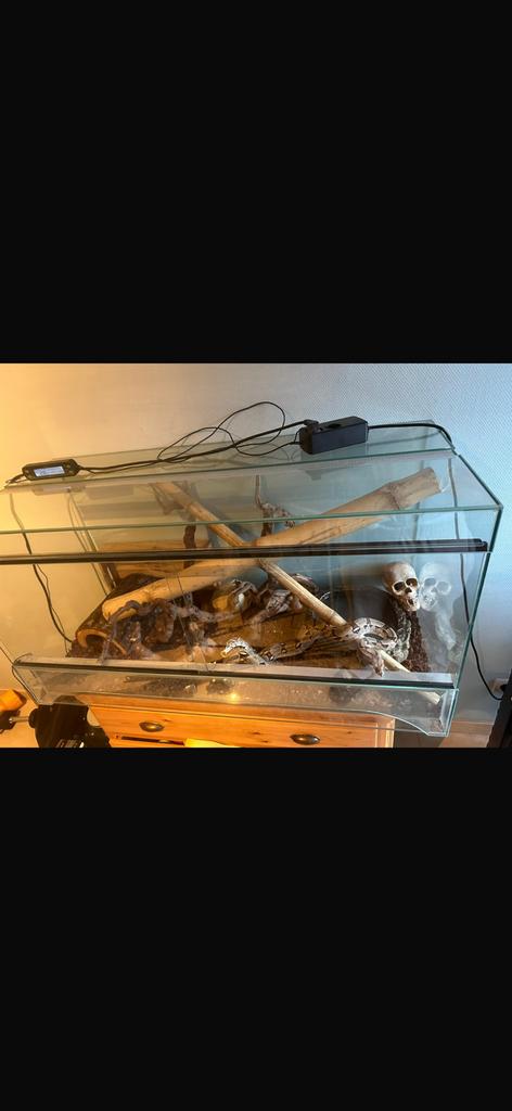 Terrarium boa, Animaux & Accessoires, Enlèvement, Utilisé, Terrarium ou Paludarium