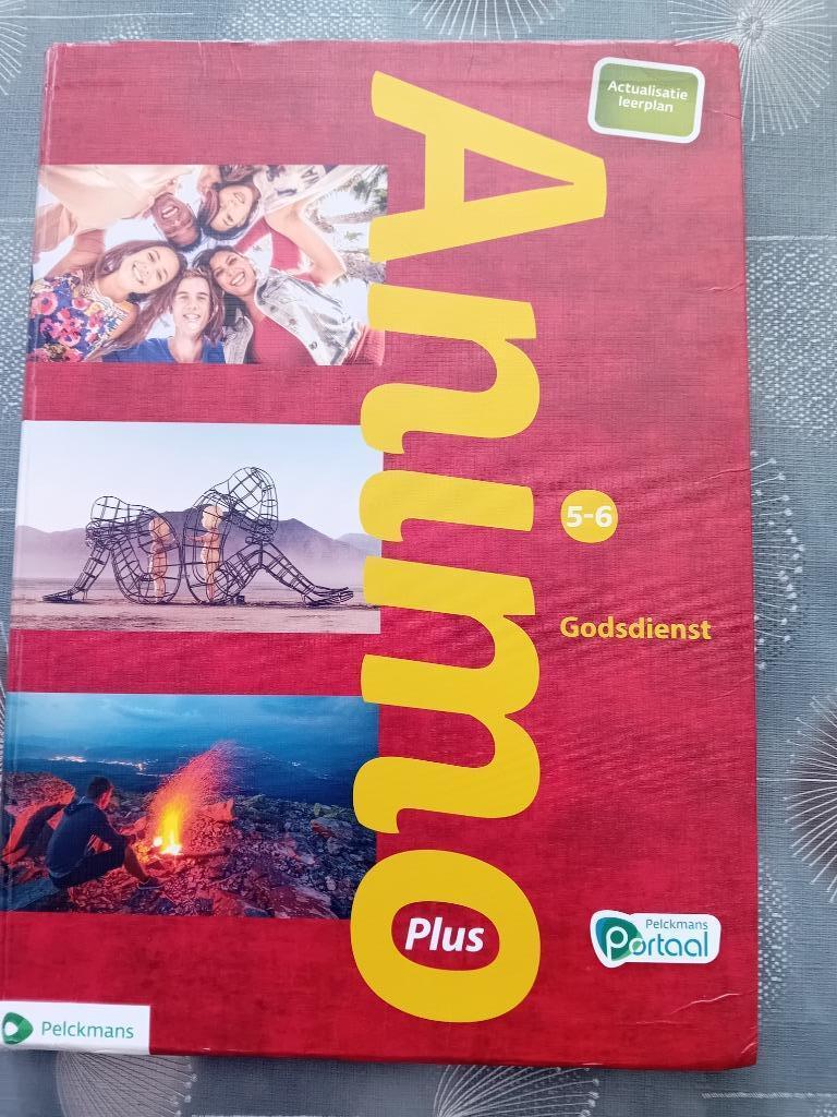 Animo Plus 5-6 Godsdienst, Enlèvement ou Envoi, Comme neuf, Secondaire, Pelckmans