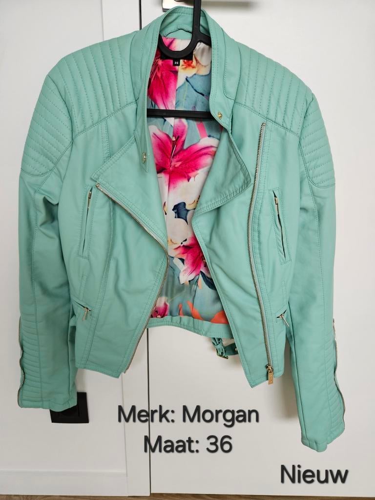 Nieuw mintgroene jasje, Kleding | Dames, Nieuw, Maat 36 (S), Groen, Morgan