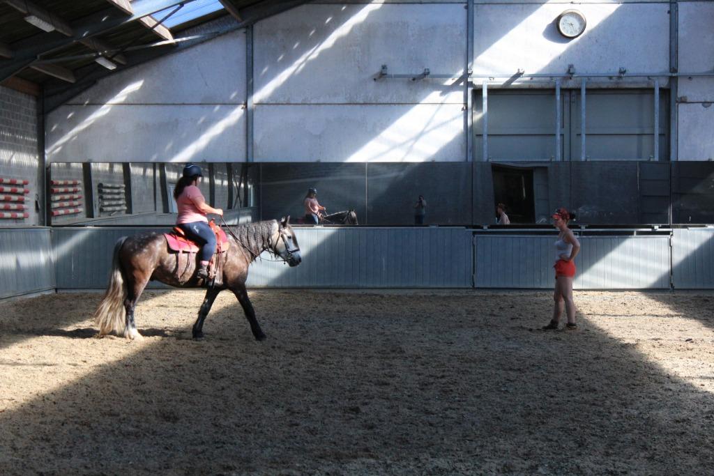 Aan huis : Westernlessen, begeleiding en coaching, Services & Professionnels, Leçons d'équitation ou Stages de poney
