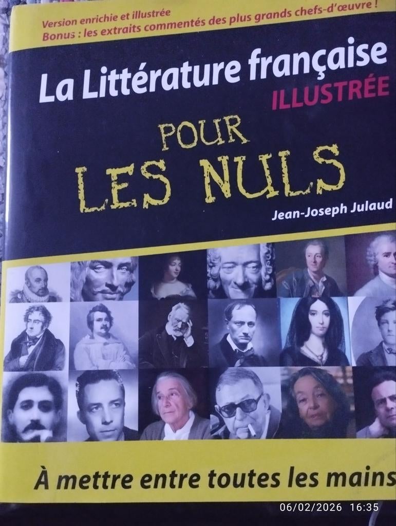 La littérature française pour les nuls, Livres, Enlèvement ou Envoi