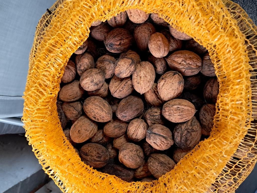 Noix a vendre.(2025)  3€ kg, Diversen, Ophalen