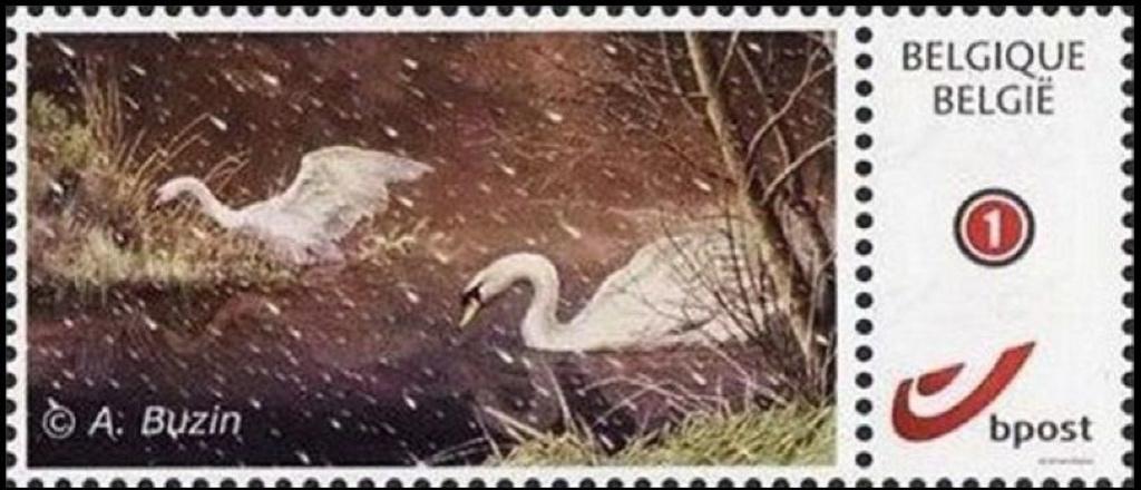Duostamp / Mystamp : Buzin - MPO - Cygne  - 2012, Timbres & Monnaies, Timbres | Europe | Belgique, Enlèvement ou Envoi
