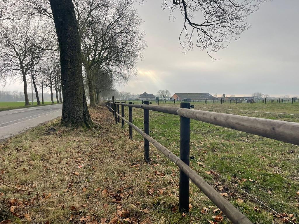 Omheining met twee of drie liggers - Met of zonder plaatsing, Dieren en Toebehoren, Stalling en Weidegang, Stalling, Weidegang