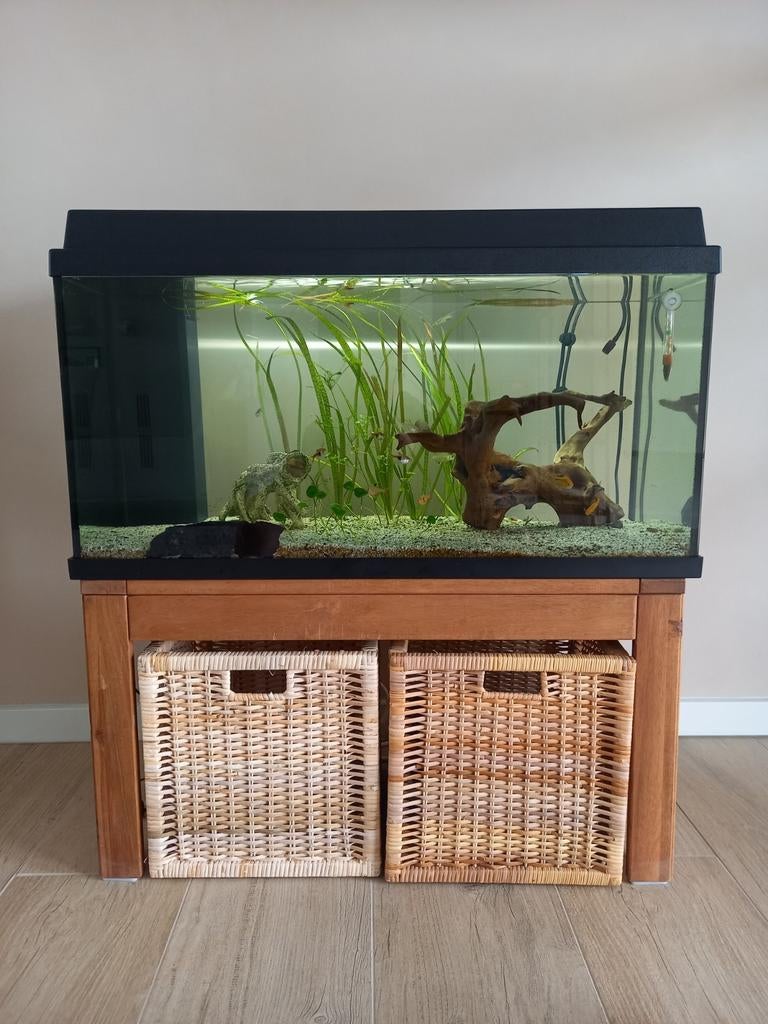 Aquarium, Ophalen