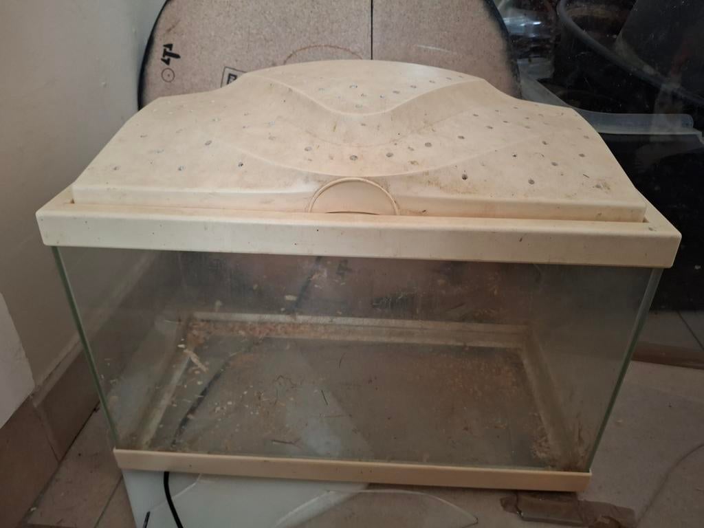 Klein hamster bak, Dieren en Toebehoren, Ophalen, Gebruikt