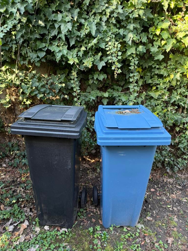 Te koop: SULO Citybak 140 liter (set van 2), Enlèvement, Comme neuf, Synthétique, Jardin