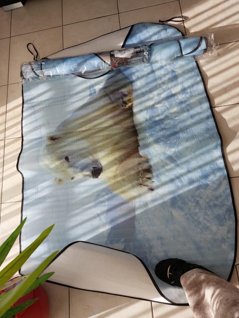 Ruiten bescherming auto., Ophalen