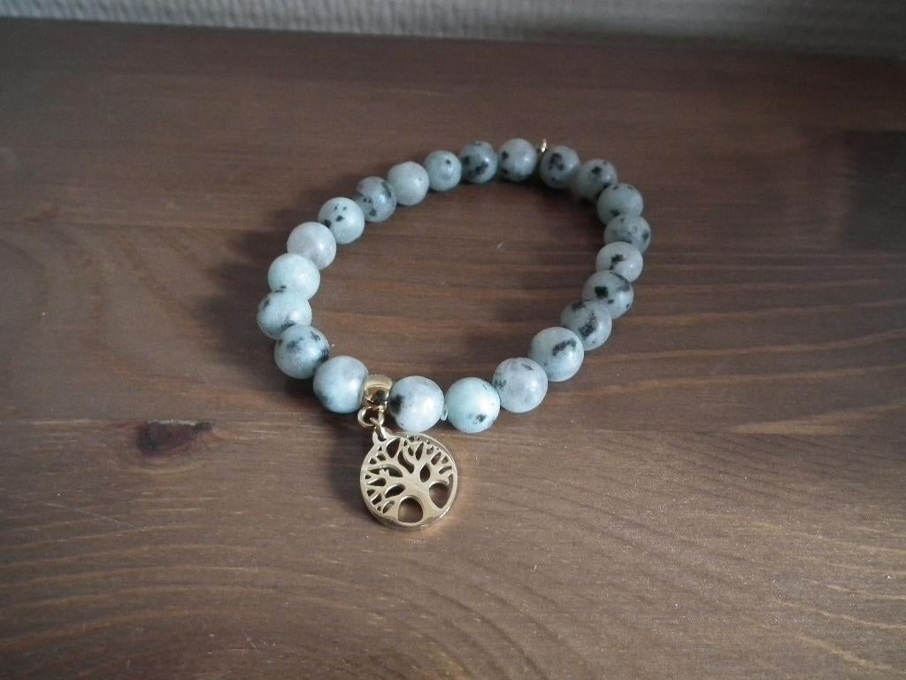 Bracelet Twice as Nice (nouveau avec boîte), Bijoux, Sacs & Beauté, Autres couleurs, Avec bracelets à breloques ou perles, Envoi