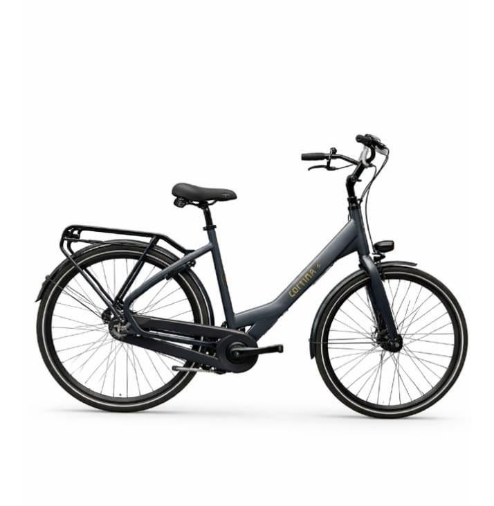 Damesfiets, Gebruikt, Versnellingen, 56 cm of meer, Ophalen