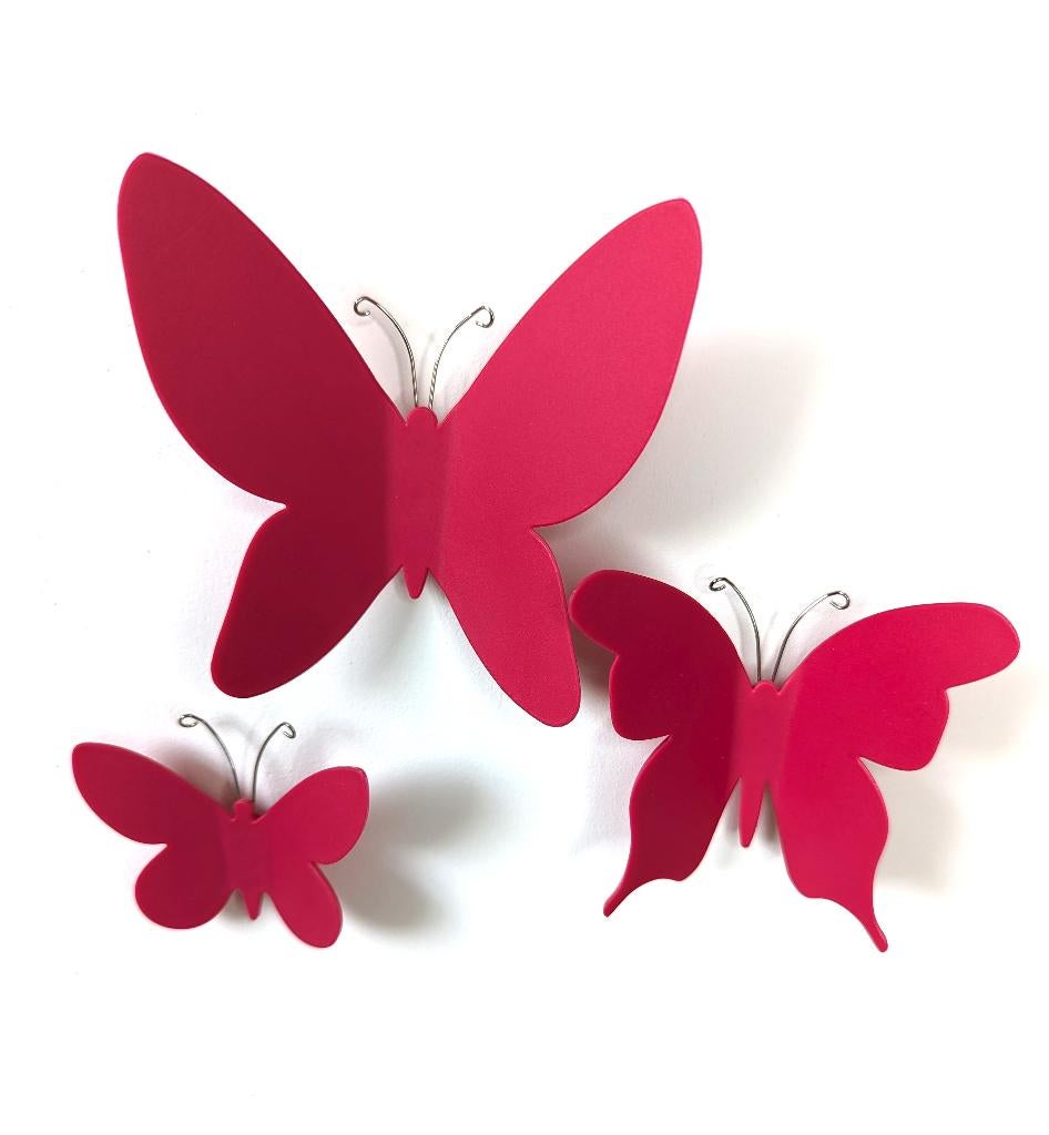 Vlinders als muurdecoratie, Ophalen of Verzenden, Zo goed als nieuw, Wanddecoratie