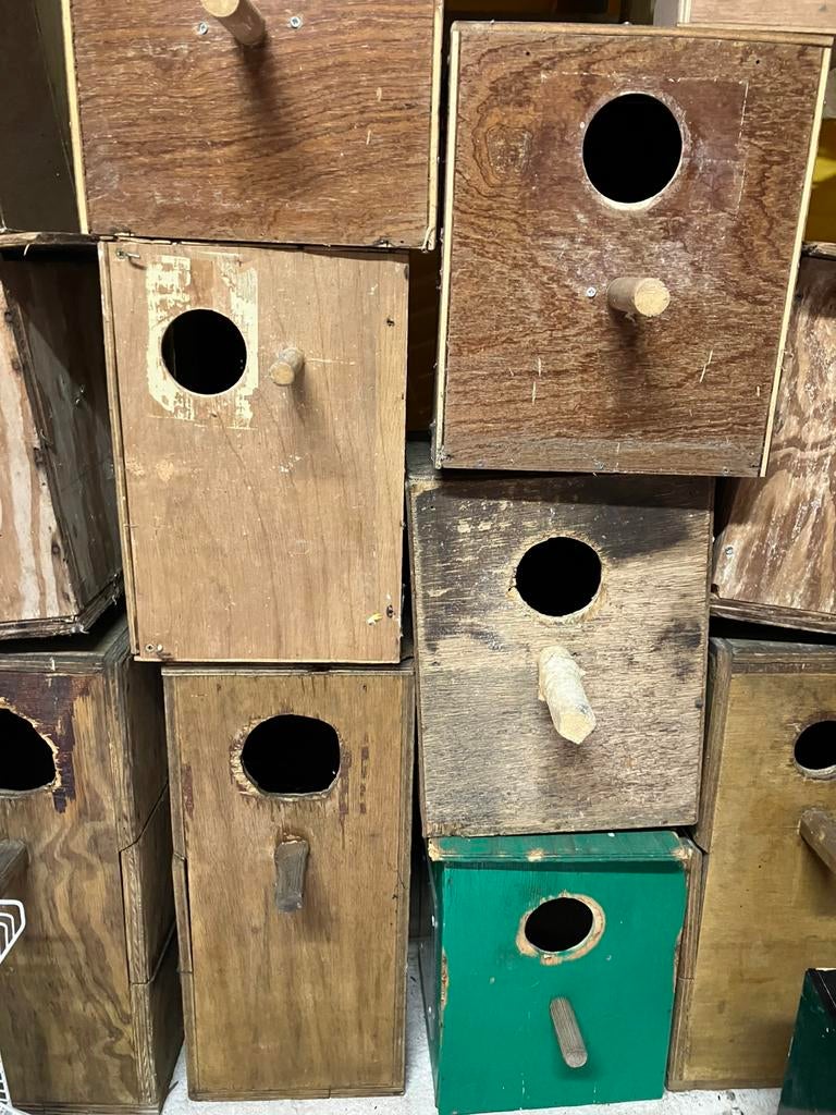 BROEDKASTEN VOOR GRASPARKIETEN VANAF 2,50 EURO, Ophalen, Zo goed als nieuw