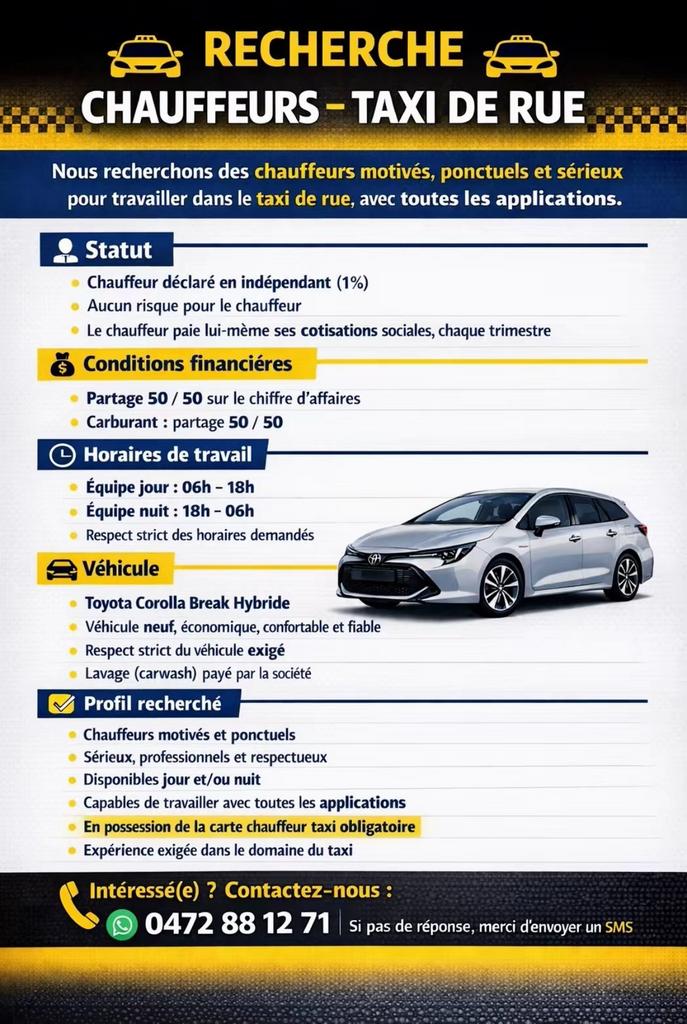 Recherche chauffeur taxi expérimenté (taxi de rue), Horaire variable, À partir de 1 an, Autres formes, Convient comme travail d'appoint