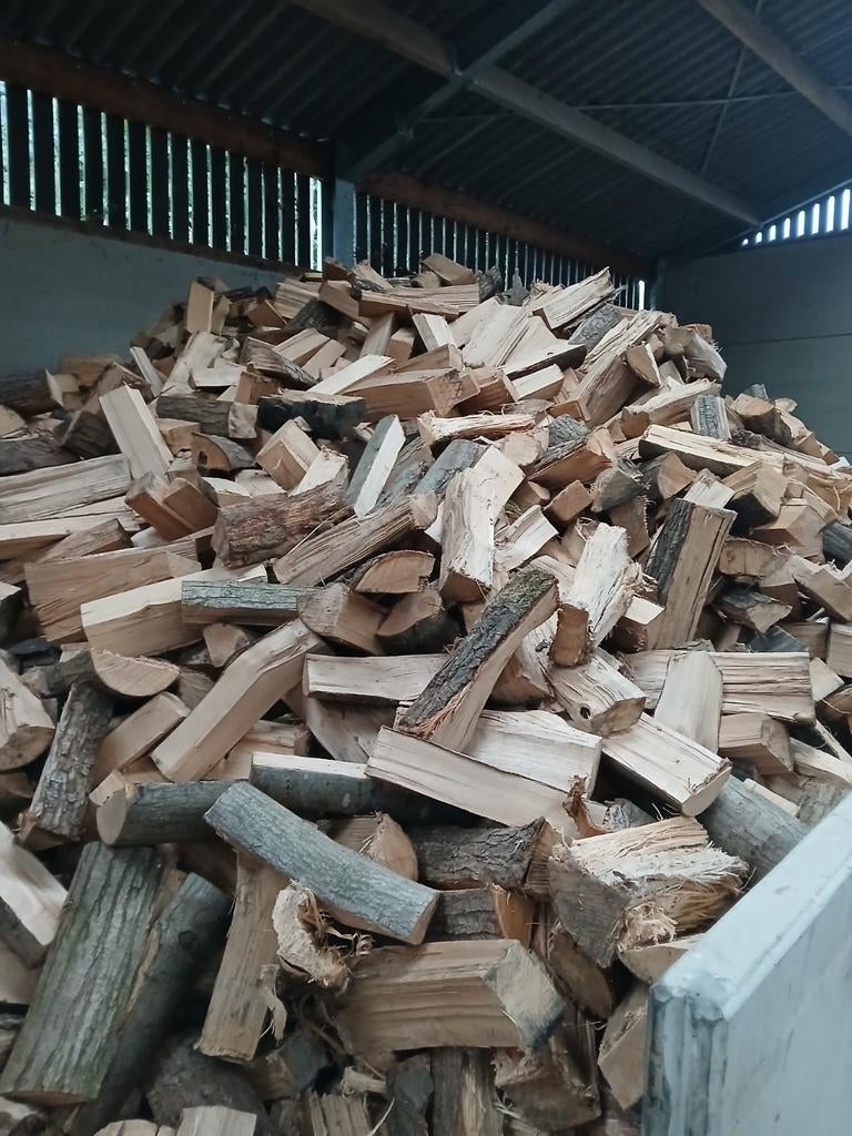 Bois chauffage, Jardin & Terrasse, Bois de chauffage, Enlèvement, Aulne