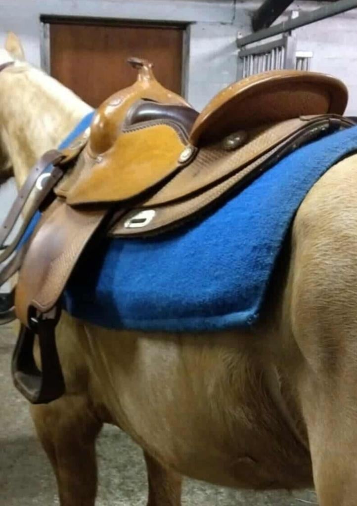 Continental western zadel, Ophalen, Gebruikt, Western