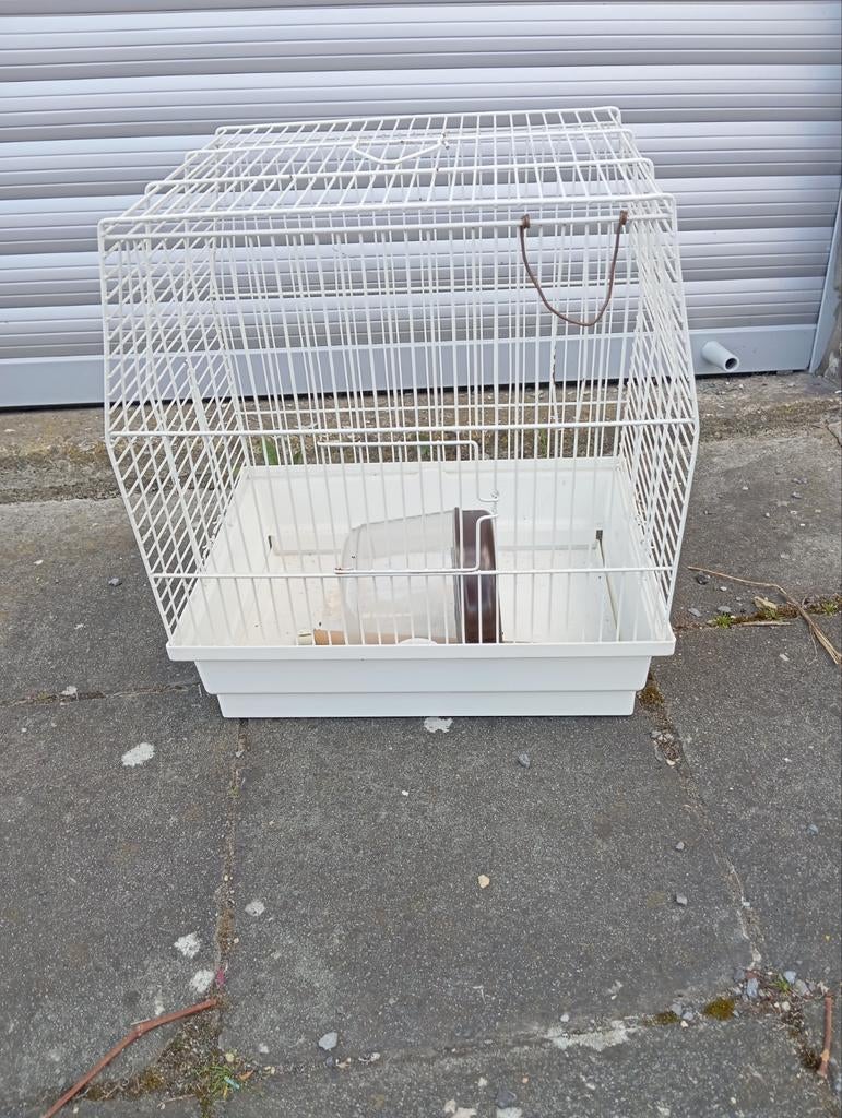 Cage canari, Animaux & Accessoires, Enlèvement