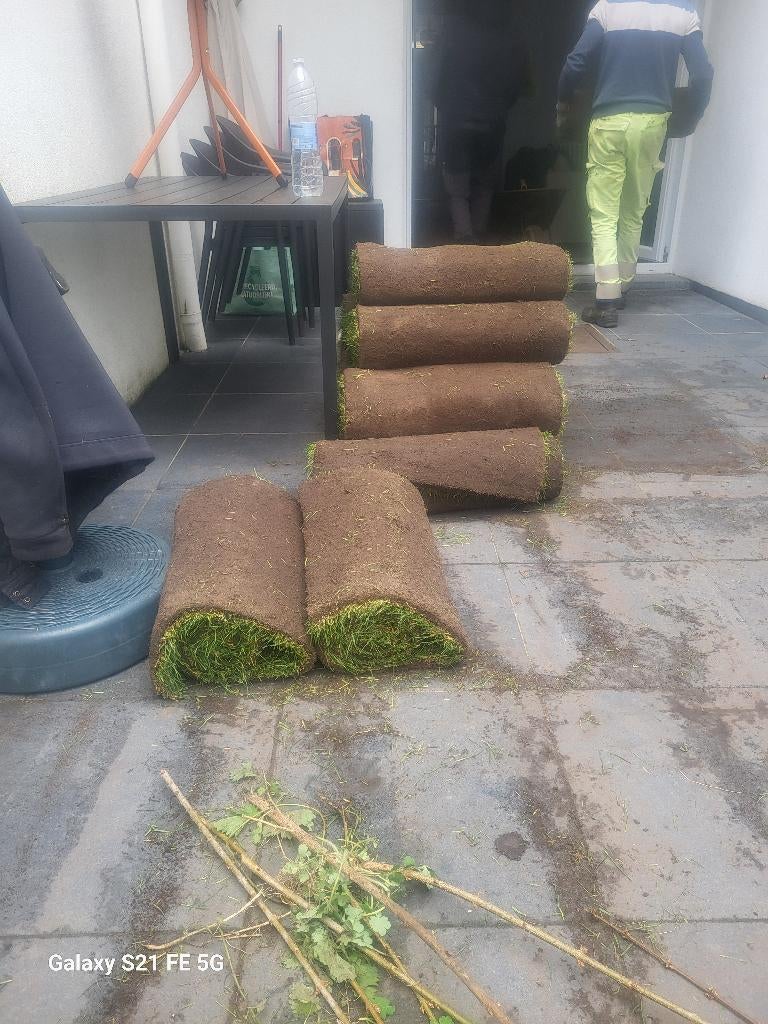 Rouleaux de gazon de ce jour, Jardin & Terrasse, Enlèvement, Neuf, 20 m² ou plus, Herbe