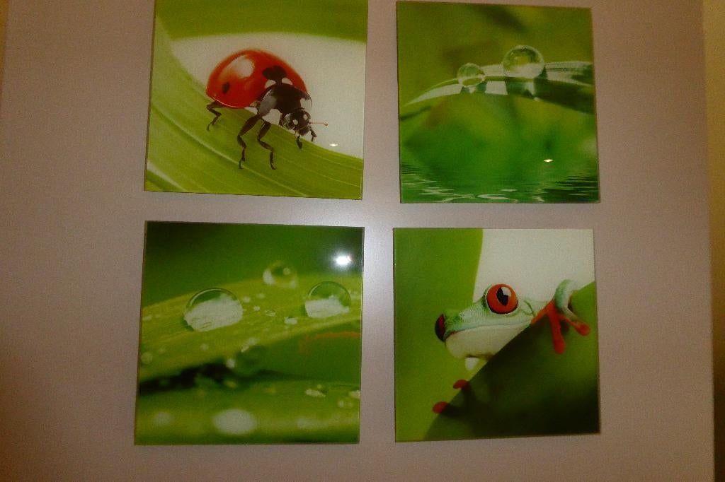 foto kaders, Ophalen of Verzenden