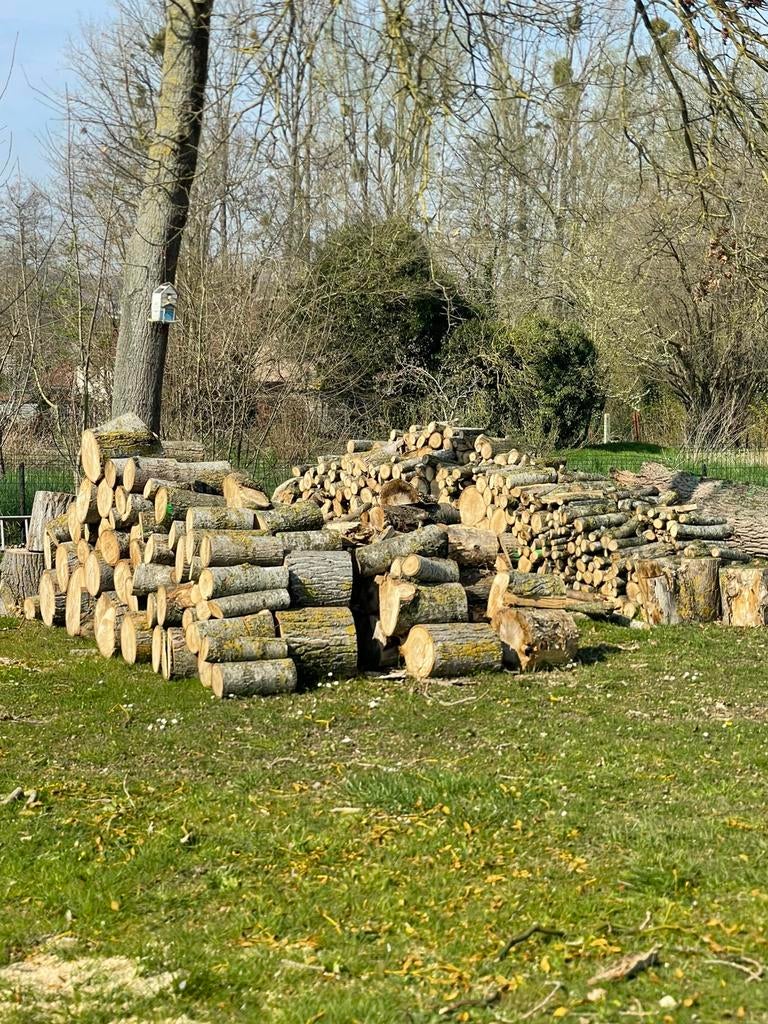 Brandhout gesneden in 40 cm, Ophalen, Blokken