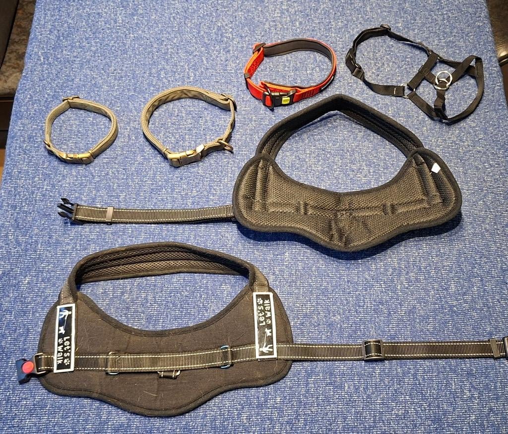 2 harnais et autres équipements pour chiens., Enlèvement ou Envoi