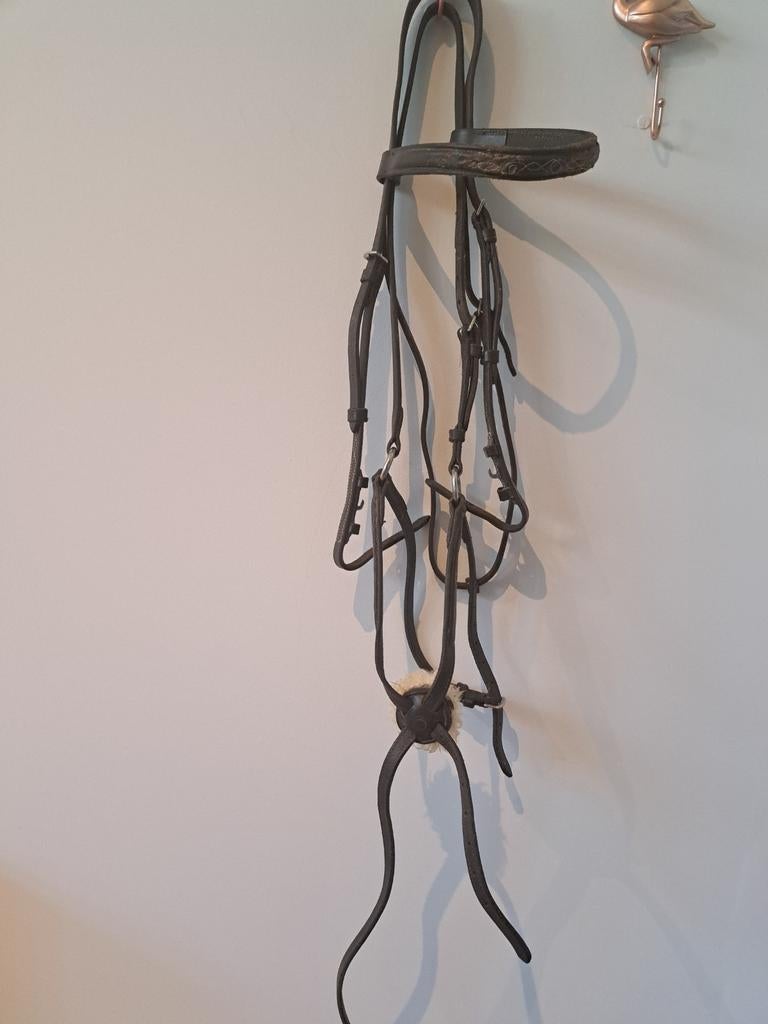 Paardenspullen, Dieren en Toebehoren, Ophalen of Verzenden