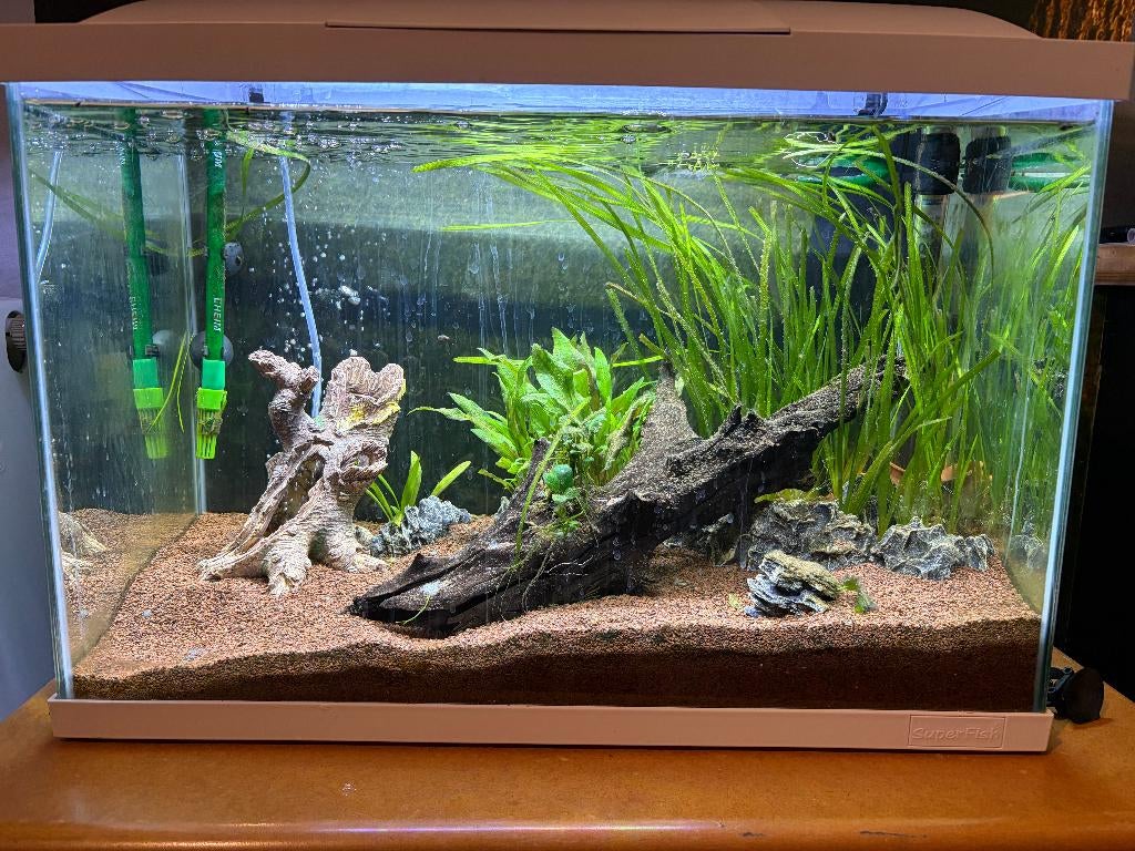 Complete aquarium, Ophalen, Zo goed als nieuw, Gevuld zoetwateraquarium