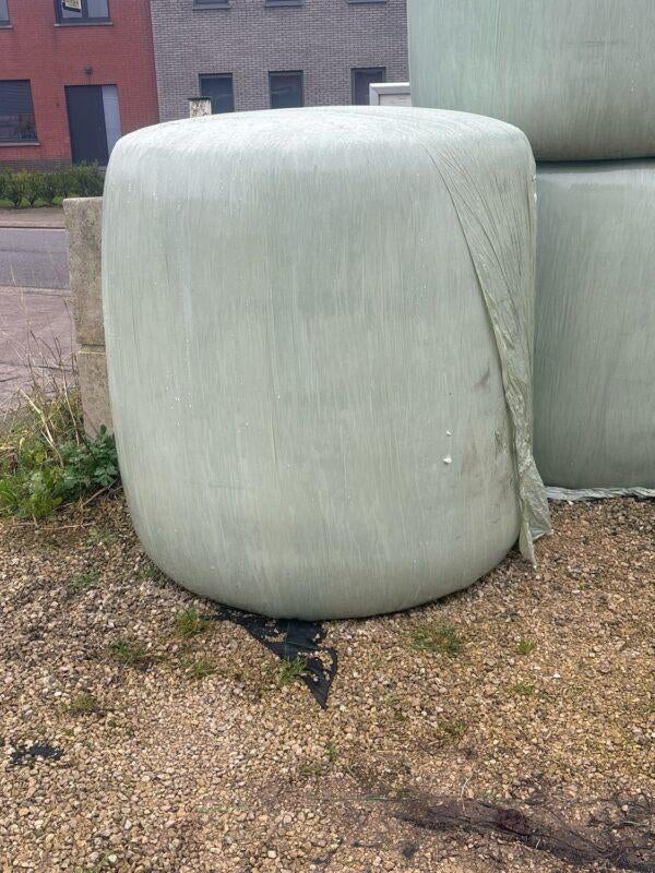 Bollen Mais +/- 1000KG, Zakelijke goederen, Ophalen