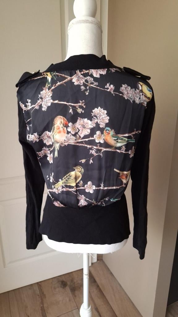 Vestje Ted Baker maat S, Ted Baker, Ophalen of Verzenden, Zo goed als nieuw, Maat 36 (S)