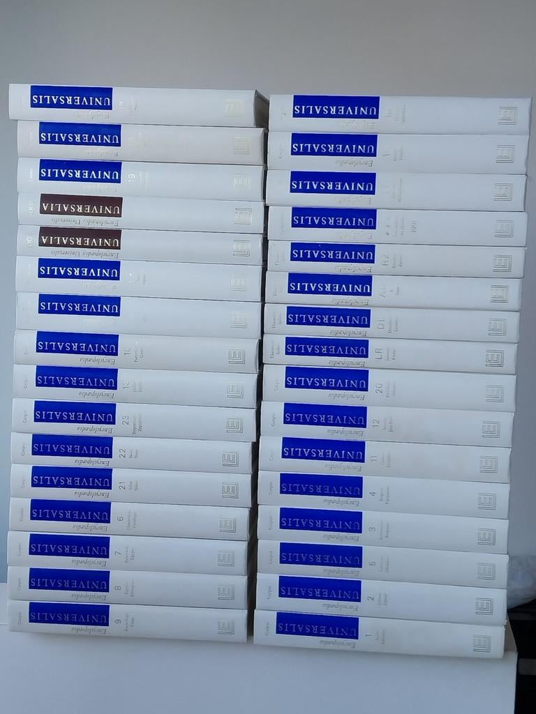 Encyclopedia Universalis 1990, Livres, Enlèvement, Utilisé, Général