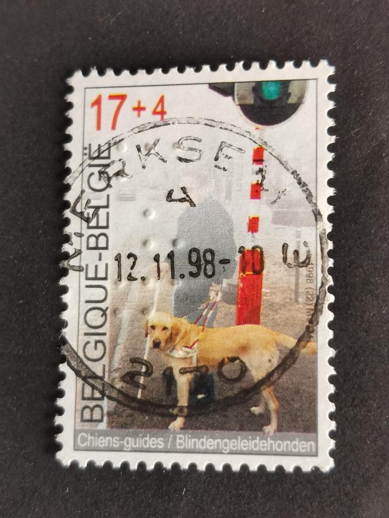 Belgique 1998 - chien-guide - avec écriture en braille, Enlèvement ou Envoi, Affranchi