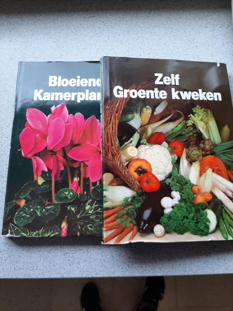 Set tuinboeken: Zelf groente kweken & Kamerplanten, Boeken, Wonen en Tuinieren, Zo goed als nieuw, Kamerplanten, Ophalen of Verzenden