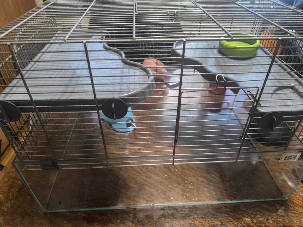 Cage rongeur, Enlèvement, Utilisé, Accessoire pour rongeur