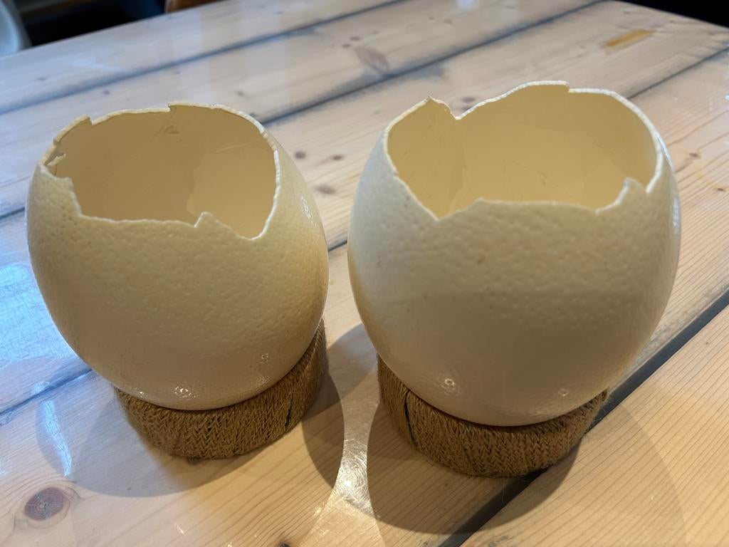 Struisvogeleieren, Huis en Inrichting, Woonaccessoires | Wanddecoraties, Zo goed als nieuw, Ophalen of Verzenden