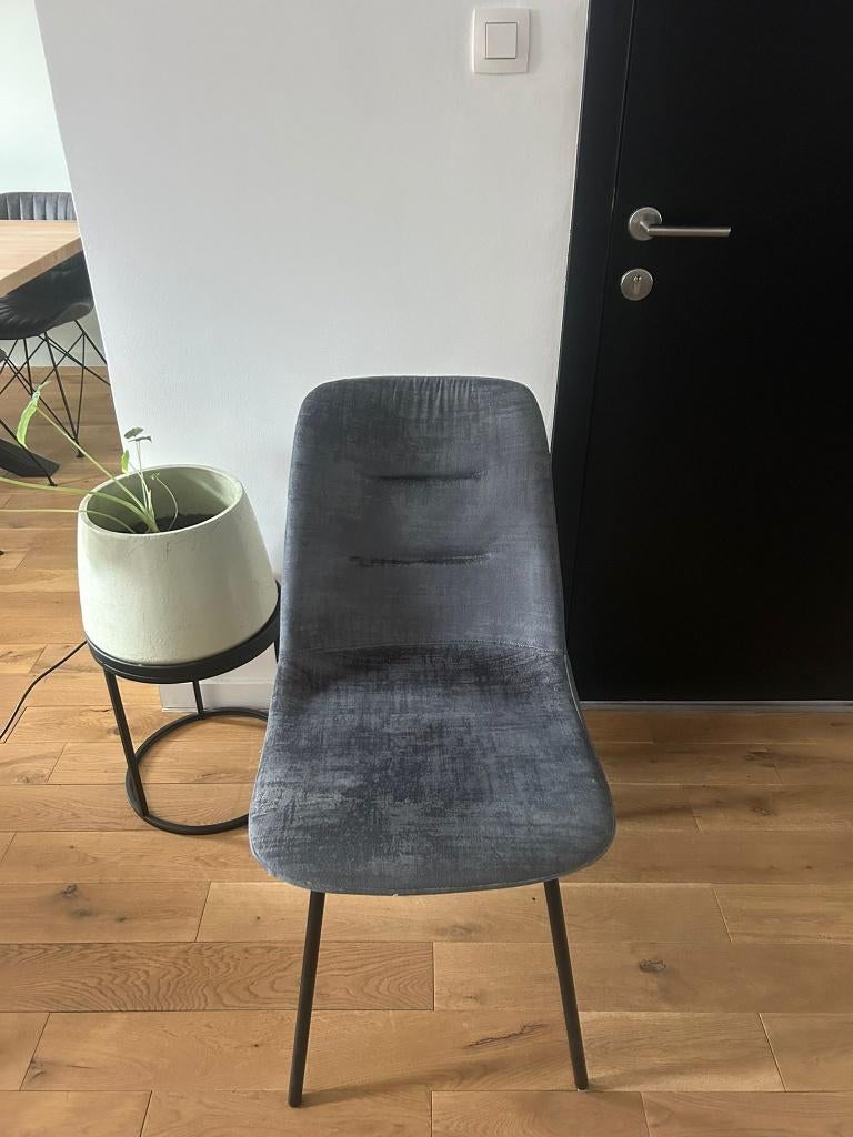 4 stijlvolle FINLEY stoelen in grijs/blauw fluweel (velvet), Huis en Inrichting, Stoelen, Ophalen, Gebruikt, Blauw, Modern