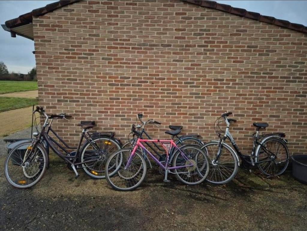 Lot de vélos (5 pièces), Enlèvement, Utilisé