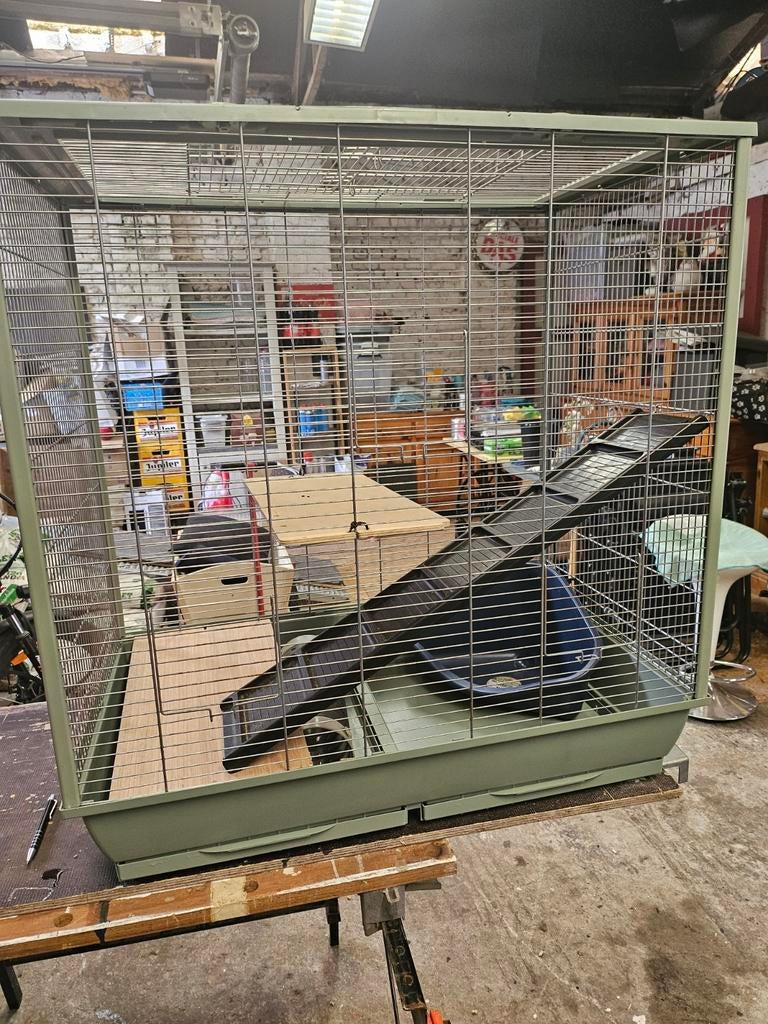 Dierenkooi, Dieren en Toebehoren, Vogels | Hokken en Kooien, Ophalen