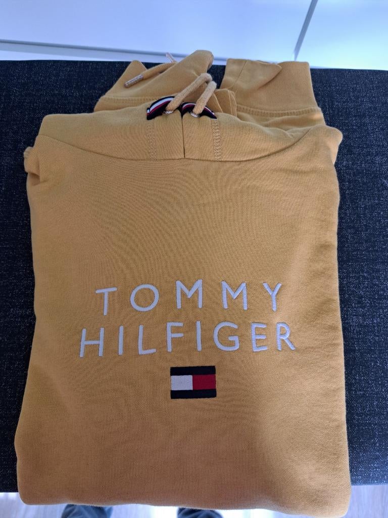 Veste à capuche Tommy Hilfiger, Vêtements | Hommes, Enlèvement ou Envoi, Comme neuf, Tommy hilfiger