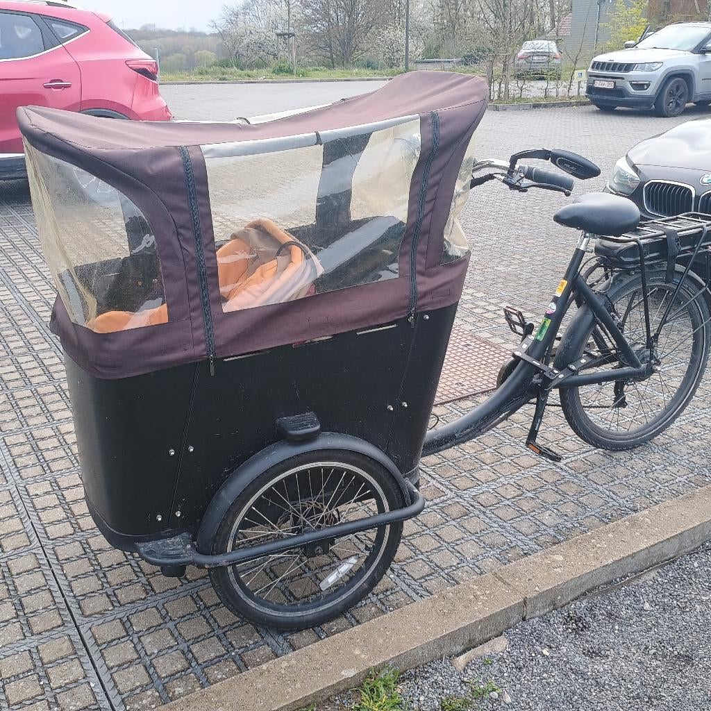 Vélo cargo électrique tricycle, Autres marques, 51 à 55 cm, Enlèvement, Utilisé
