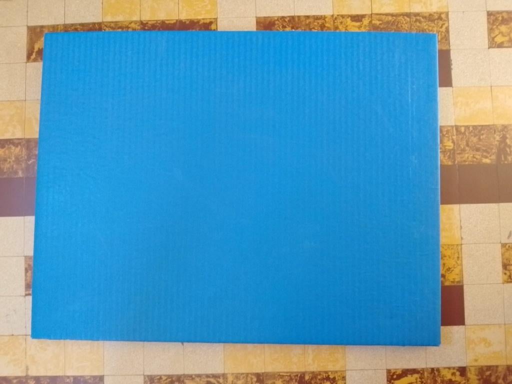 Tatami / judomat (pakket van 11 stuks), Sport en Fitness, Vechtsporten en Zelfverdediging, Ophalen, Gebruikt, Judo, Vechtsportmaterialen