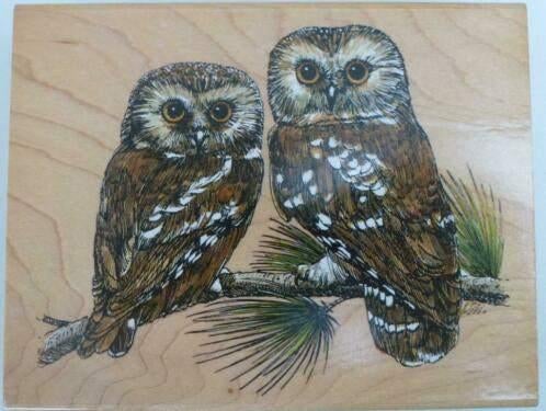 stempelen uilen, Ophalen of Verzenden, Nieuw, Houten stempel